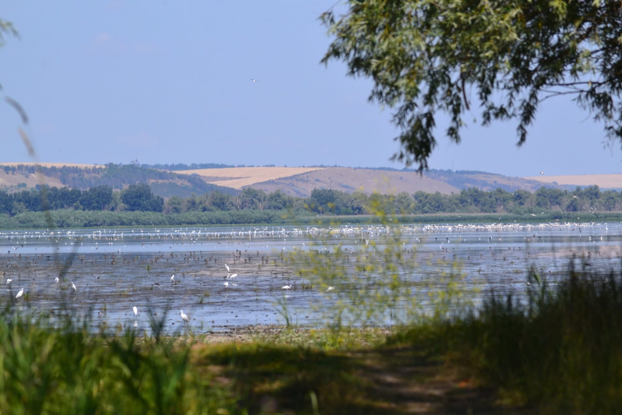 Lacul Beleu privit de pe mal, cu dealuri în depărtare