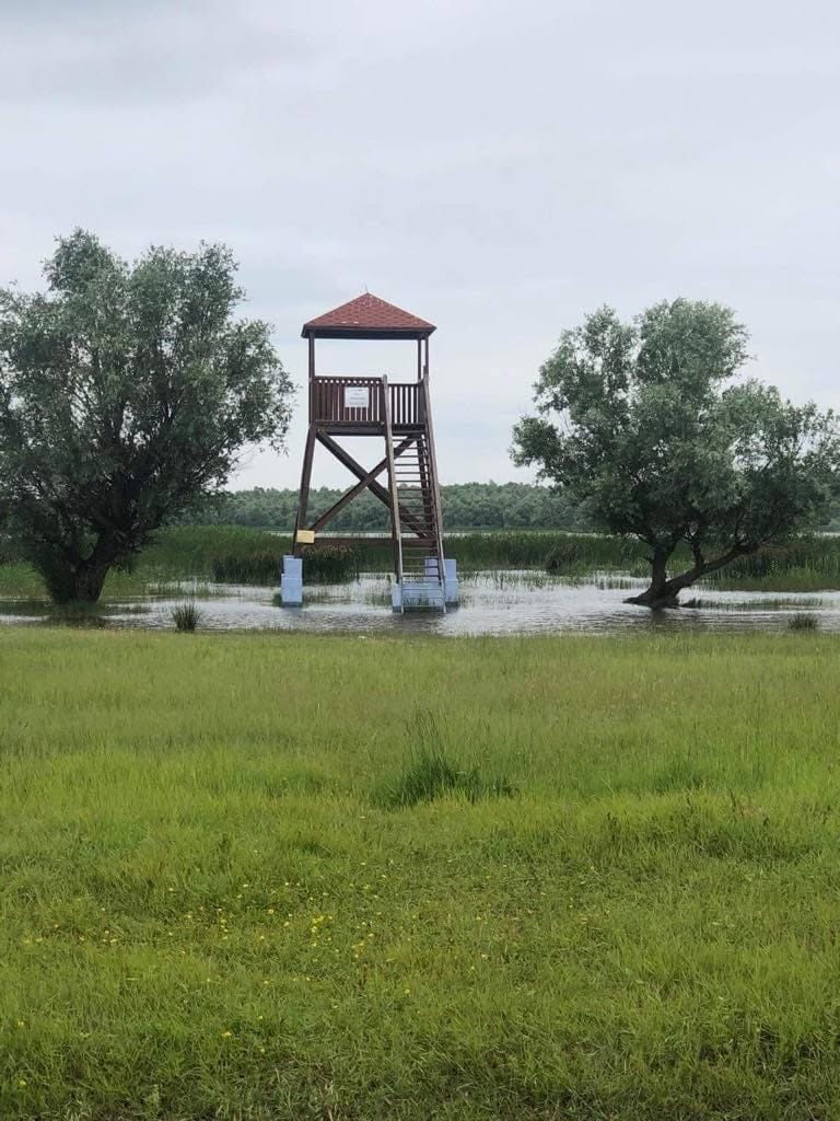 Turnul de observație al rezervației