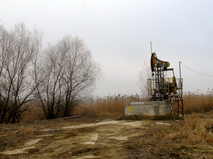Sondă de extragere a petrolului pe teritoriul Rezervației „Prutul de Jos”. Foto: Silvia Ursul