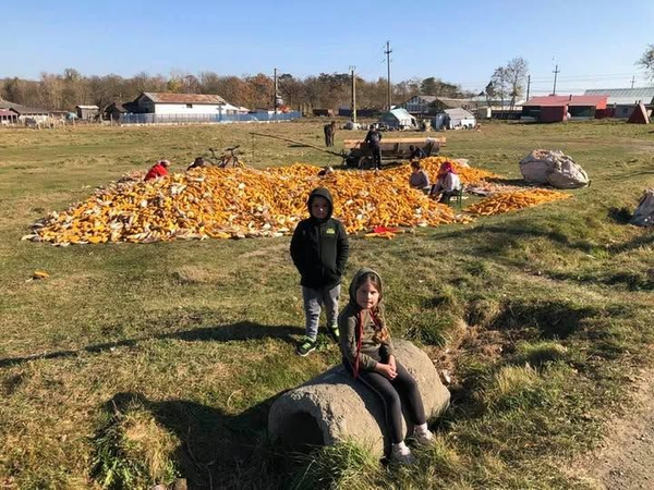 Spre o sinucidere socială a României: situația din educație este catastrofală și profund antidemocrată și antisocială