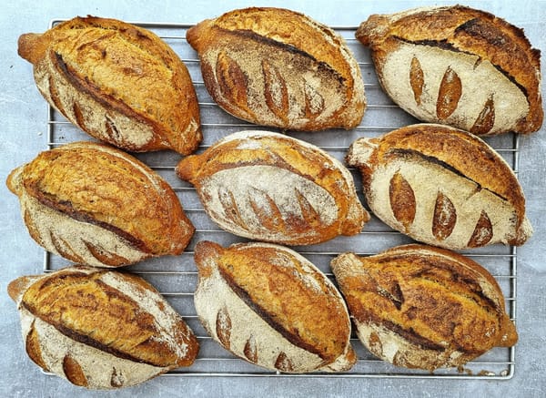 PÂINEA RĂMÂNE - ”Dacă pierdem pâinea înseamnă că ne-am întors înaintea agriculturii. Câteva sute de mii de oameni. Pâinea rămâne.”