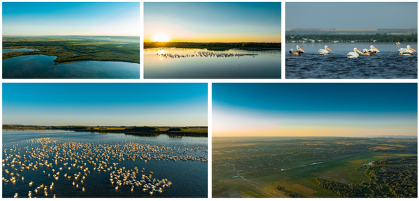 UN LIMAN - Lacul Beleu și apele care se retrag sau Lacul care moare legal